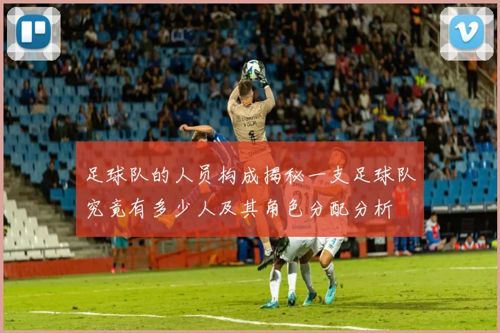 足球队的人员构成揭秘一支足球队究竟有多少人及其角色分配分析