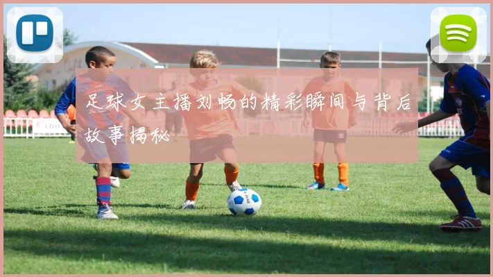 足球女主播刘畅的精彩瞬间与背后故事揭秘