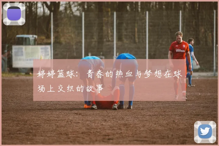 婷婷篮球：青春的热血与梦想在球场上交织的故事