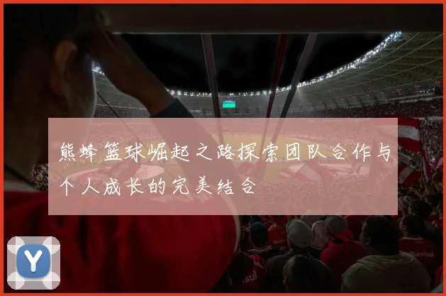 熊蜂篮球崛起之路探索团队合作与个人成长的完美结合
