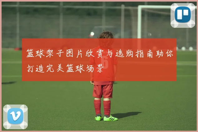 篮球架子图片欣赏与选购指南助你打造完美篮球场景