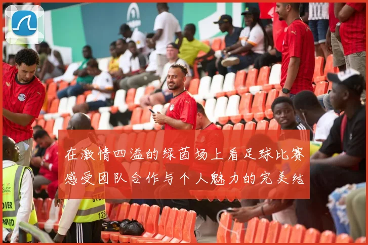 在激情四溢的绿茵场上看足球比赛感受团队合作与个人魅力的完美结合